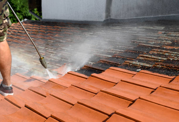 Deck Cleaning Services in New Deal, TX